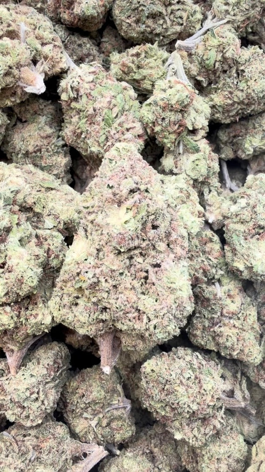 Beyond Blue Dream - Bulk - Sativa