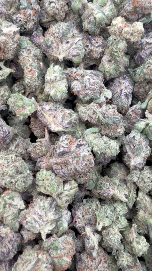 Purple Churro Minis - Bulk Minis - Indica