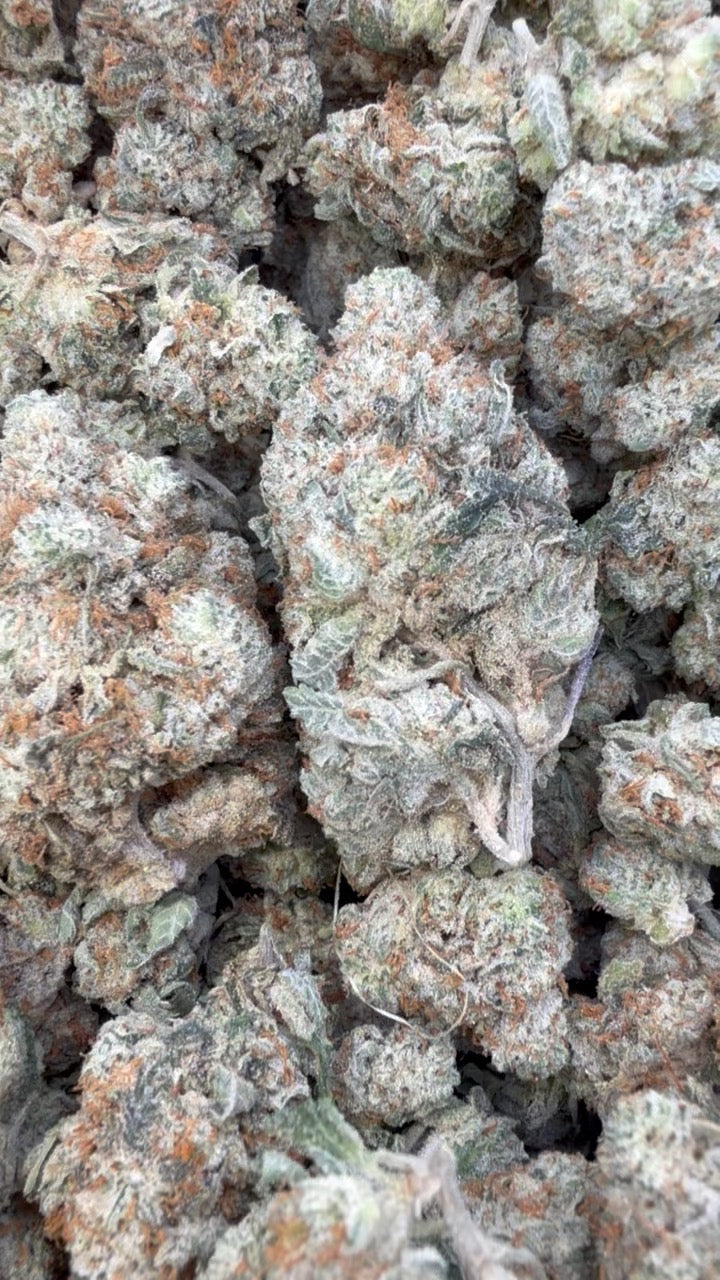 Gorilla Glue Indoor - Bulk - Hybrid