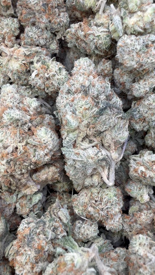 Gorilla Glue Indoor - Bulk - Hybrid