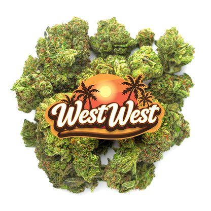 West West Brand - Gelato Cake - 14 Grams - Hybrid