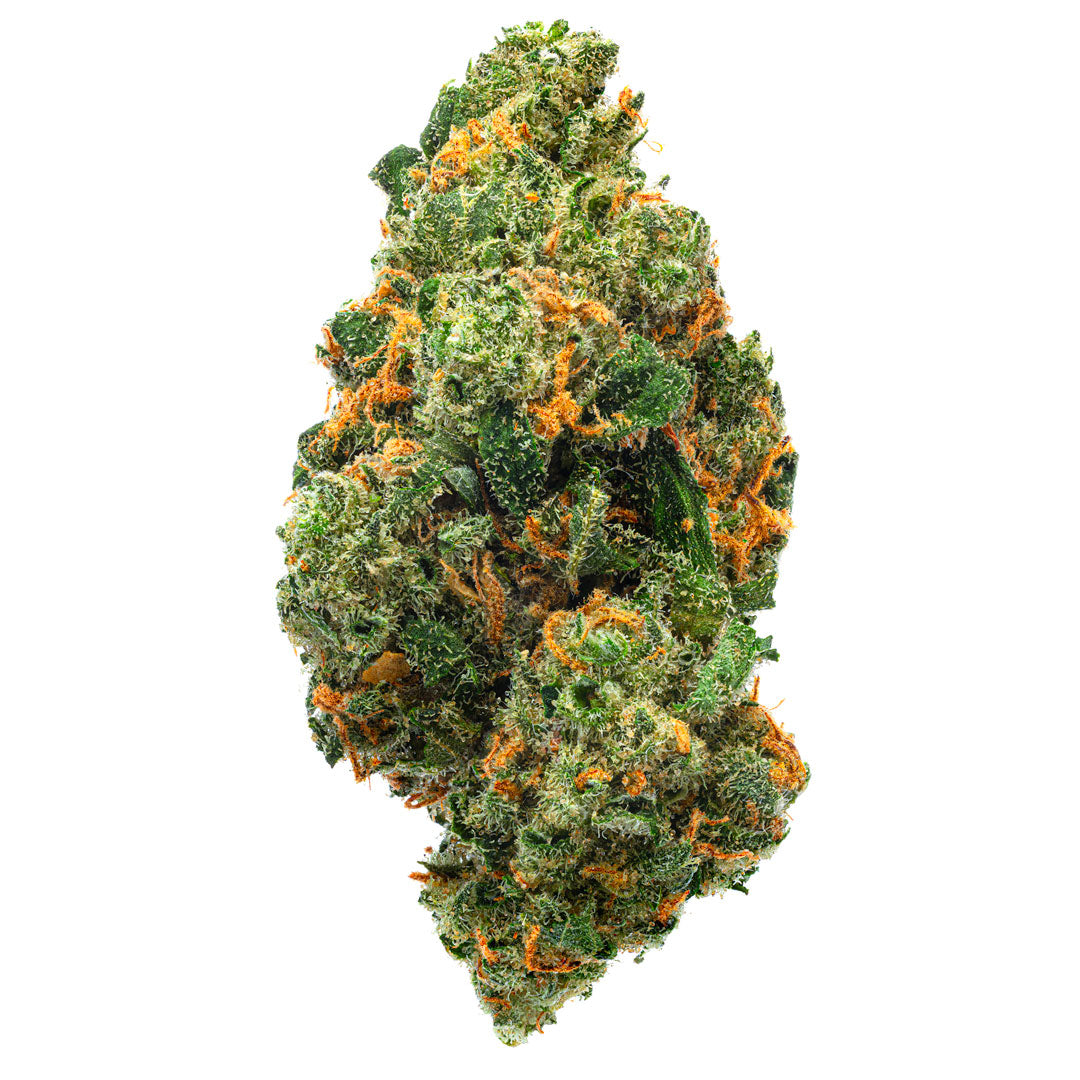Jack Herer - Indoor - 14 Grams - Sativa