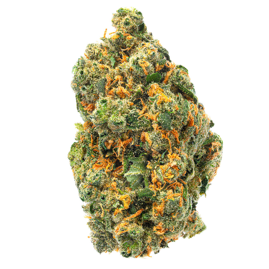 Jack Herer - Indoor - 14 Grams - Sativa
