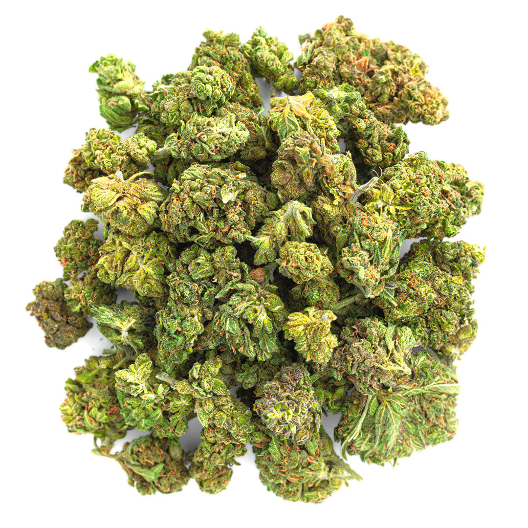 Jungle Gelato - 28 Grams - Indica