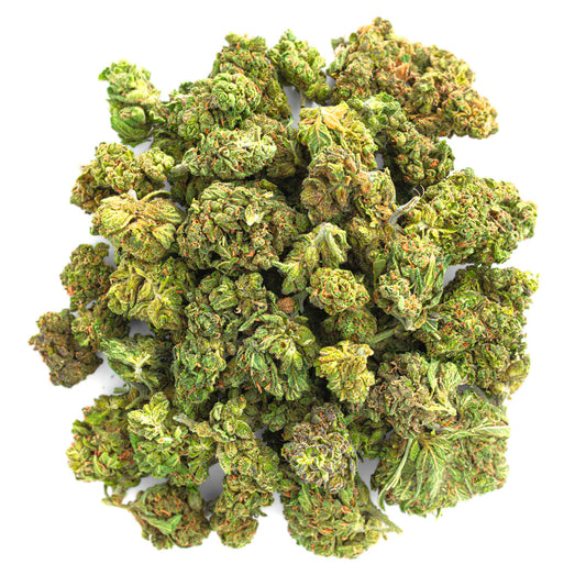 Jungle Gelato - 28 Grams - Indica