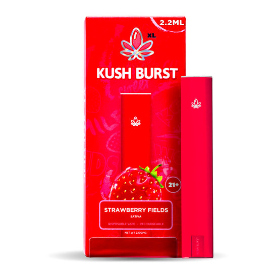 Kush Burst - 2G THCa Strawberry Fields (Sativa)