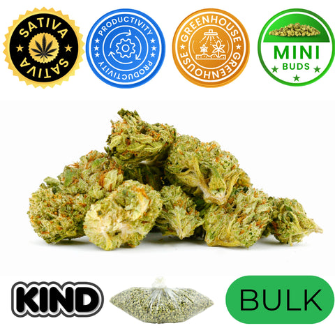 Pineapple Express - Bulk Minis (Sativa)