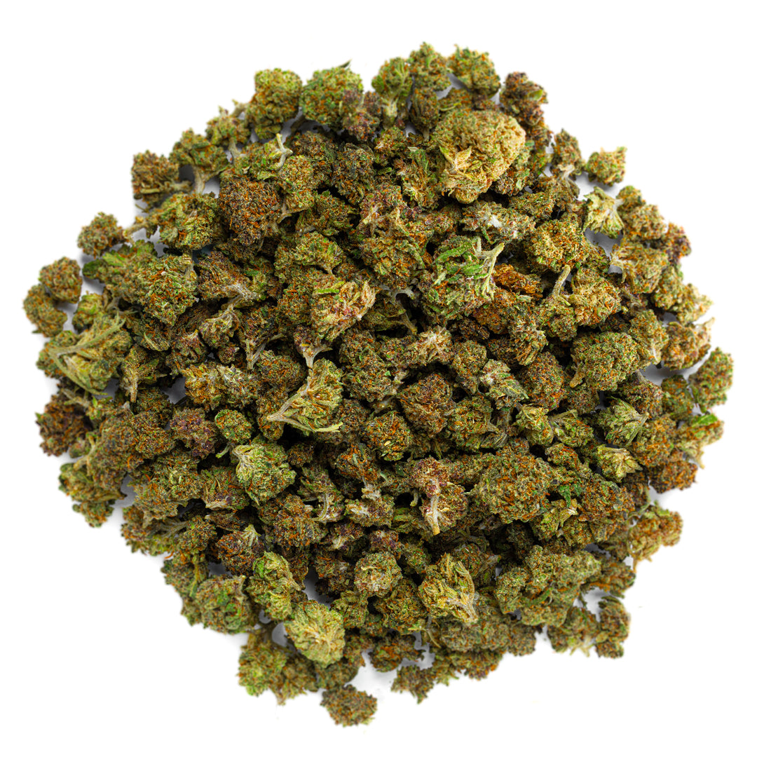 Purple Jack - 28 Grams Minis - Hybrid