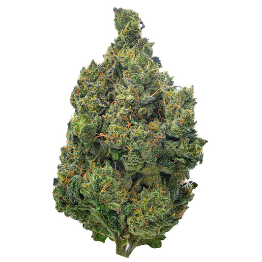 Super Jack Indoor - 14 Grams - Sativa