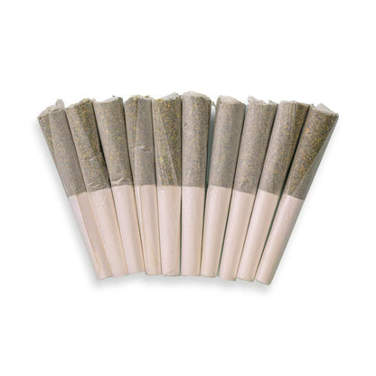 Tropicana Cookies - Pack of Pre-Rolls (10 Pack) - Sativa