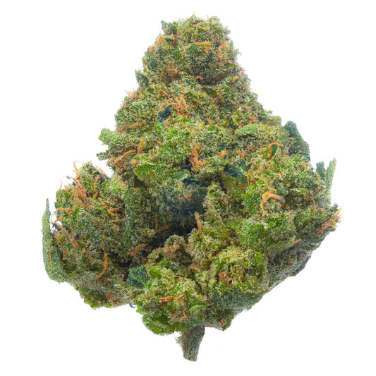 Jack Herer - Indoor - 4 Grams - Sativa