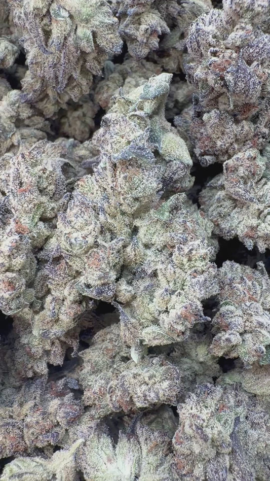 Oreoz - Bulk - Indica