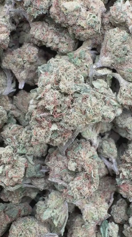 Do Si Dos x Lava Cake Minis - Bulk Minis - Indica