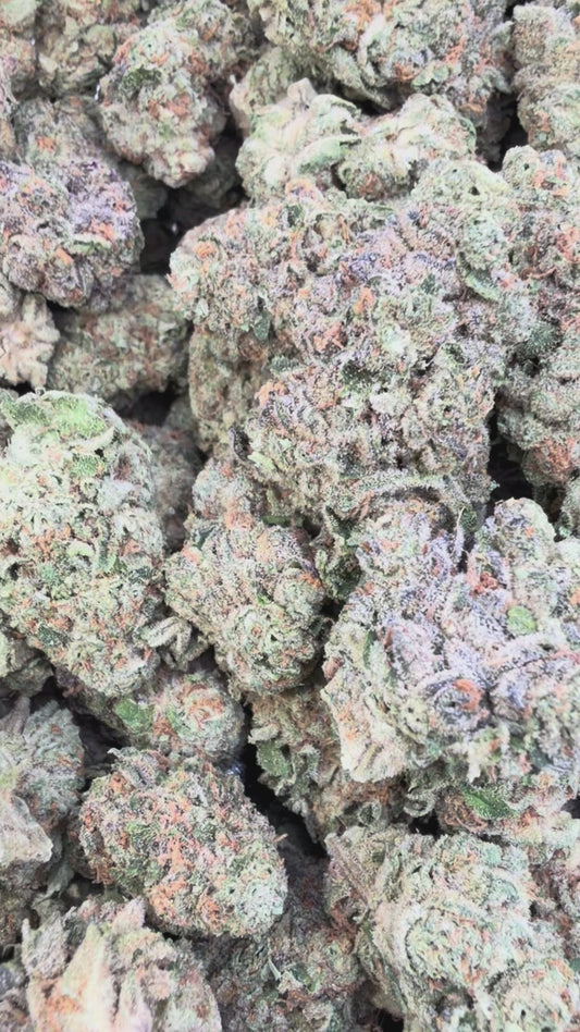 Jack Herrer - Bulk - Sativa