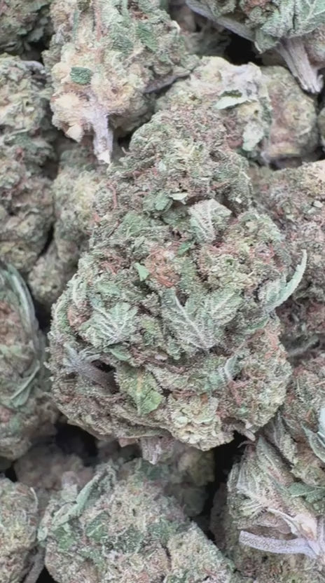 Dip N' Stix - Bulk - Hybrid