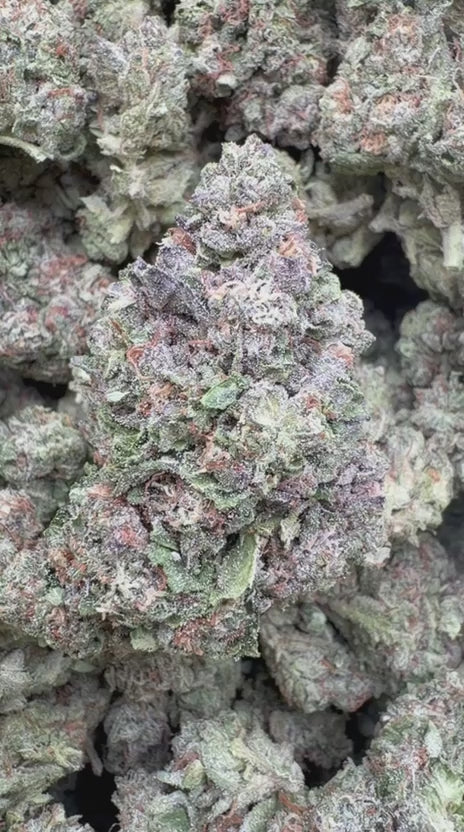 Wedding Cake - Bulk - Indica
