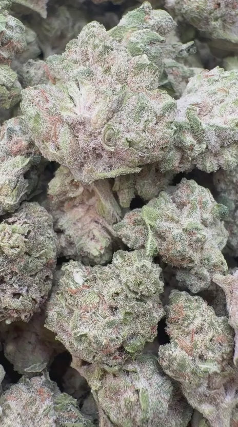 Modified Mintz Mediums - Bulk Mediums - Indica