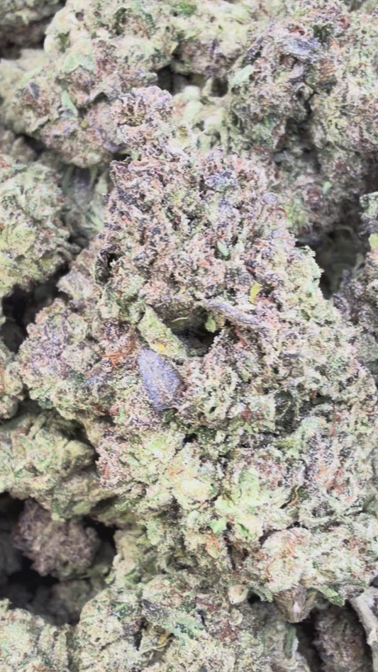 Pre-98 Bubba - Bulk- Indica