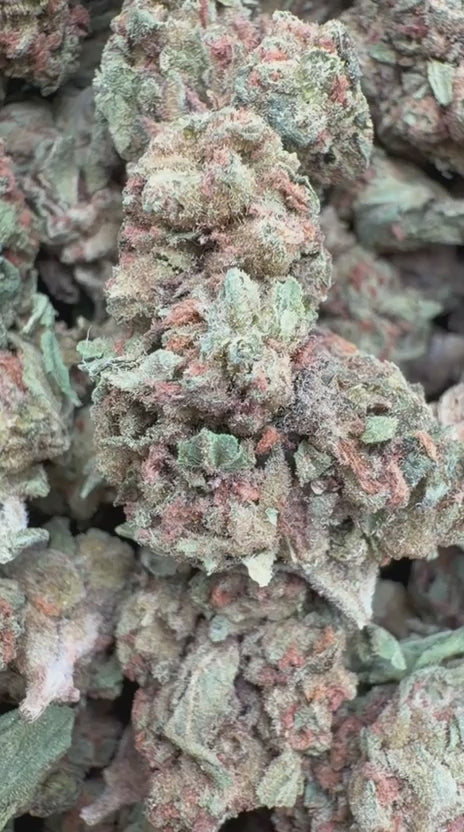 Cookies and Cream Minis - Bulk Minis - Hybrid