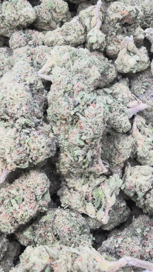 Oakland Runtz - Bulk - Hybrid