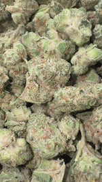 White Zkittlez Minis - Bulk - Minis (Hybrd)