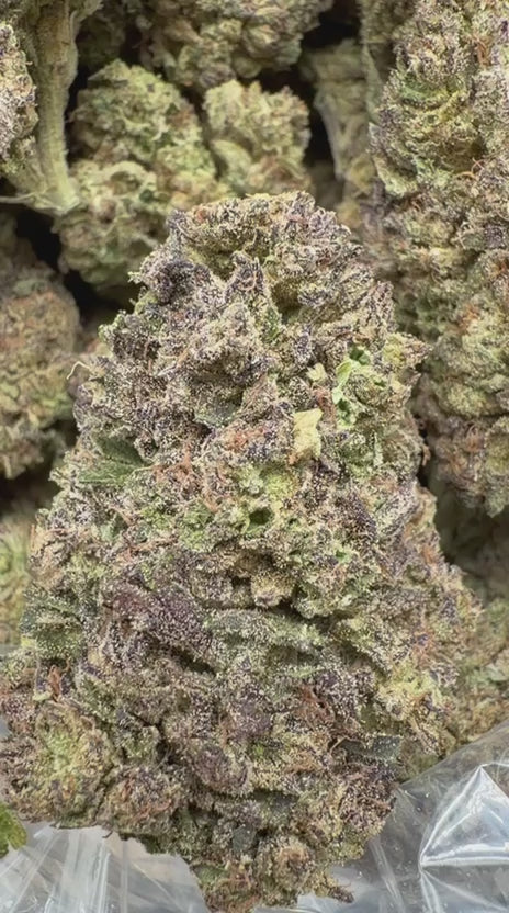 Zereal - Bulk - Hybrid