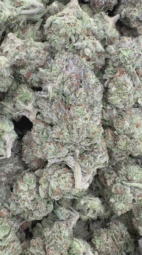 Gas Cake - Bulk - Indica