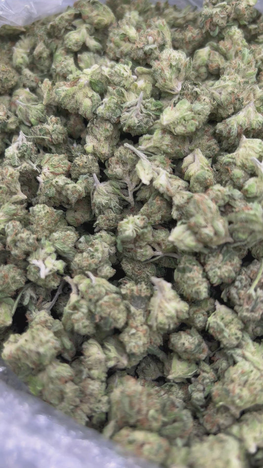 OG Kush Minis - Bulk - Minis (Indica)