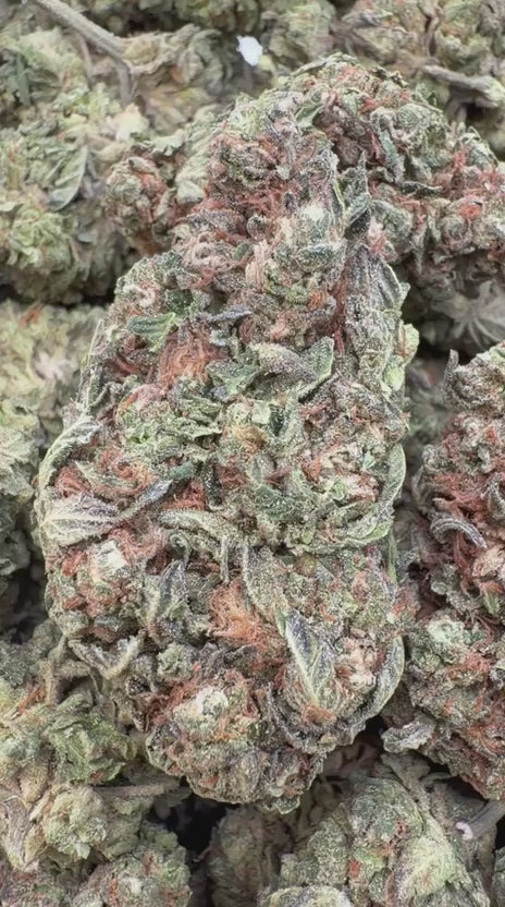 Platinum Bubba - Bulk - Indica