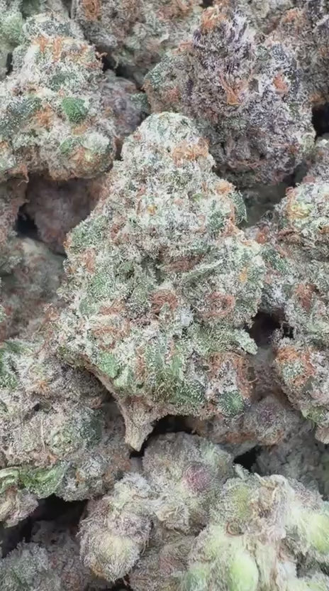 Butter Pina Indoor - Bulk  - Indica
