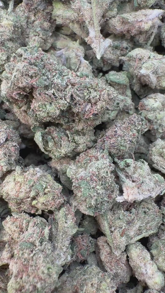 Modified Mintz Minis - Bulk Minis - Indica