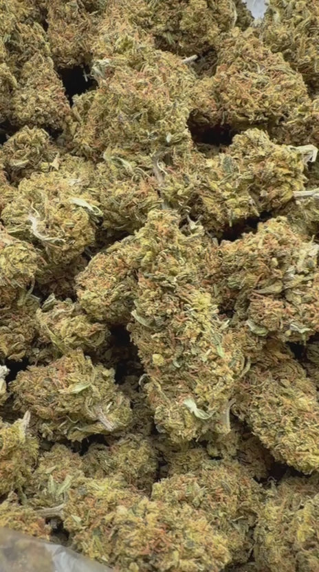 Super Silver Lemon Haze - Bulk - Sativa