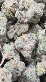 Grape Cream Cake Mediums - Bulk Mediums - Indica