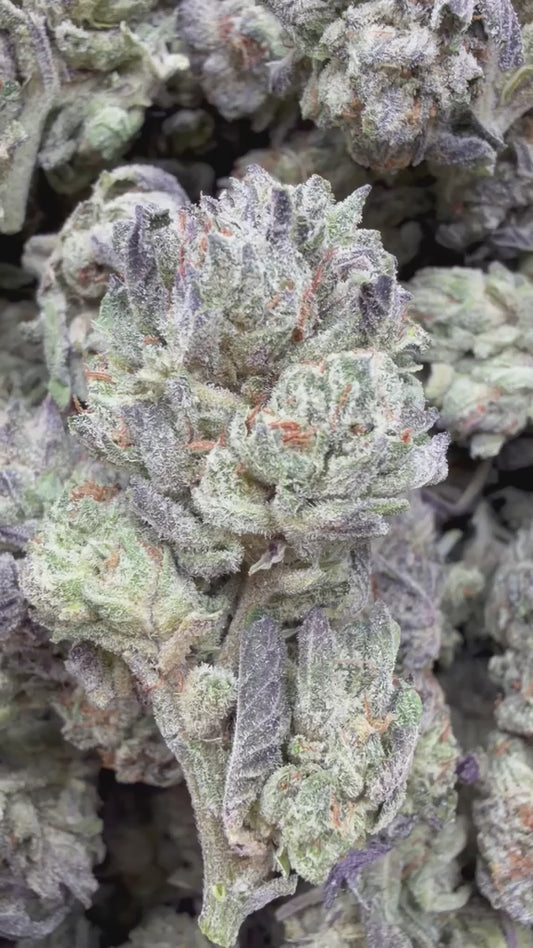 Peanut Butter Souffle - Bulk - Indica