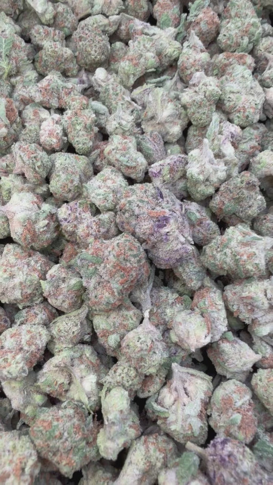 Apple Fritter Minis - Bulk Minis - Hybrid