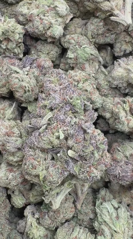 Italian Ice Cream Cookies - Bulk - Hybrid