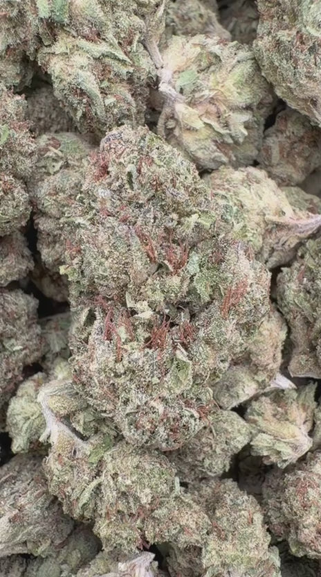Bruce Banner Mediums - Bulk Mediums - Hybrid