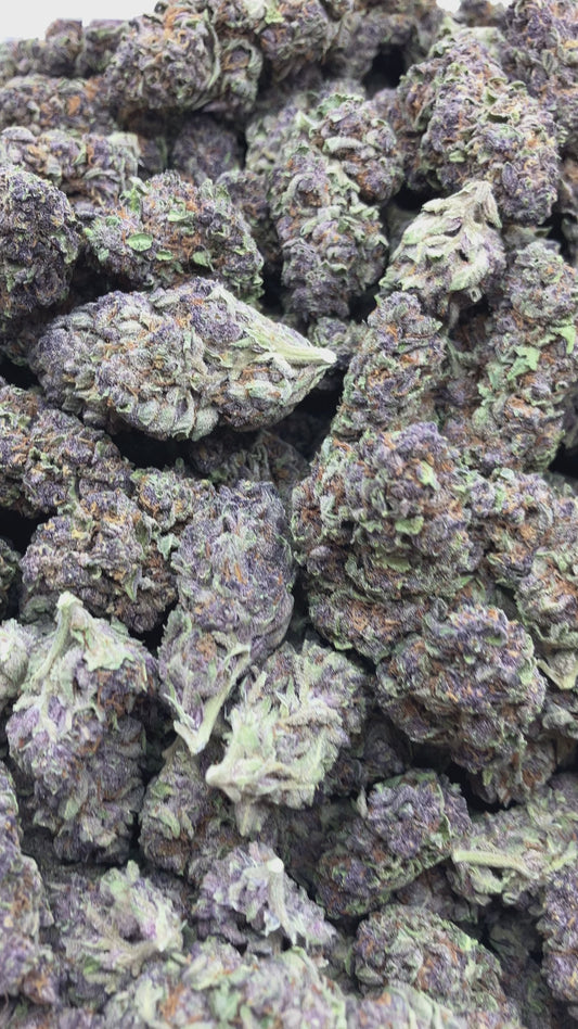 Granddaddy Purple - Bulk - (Indica)