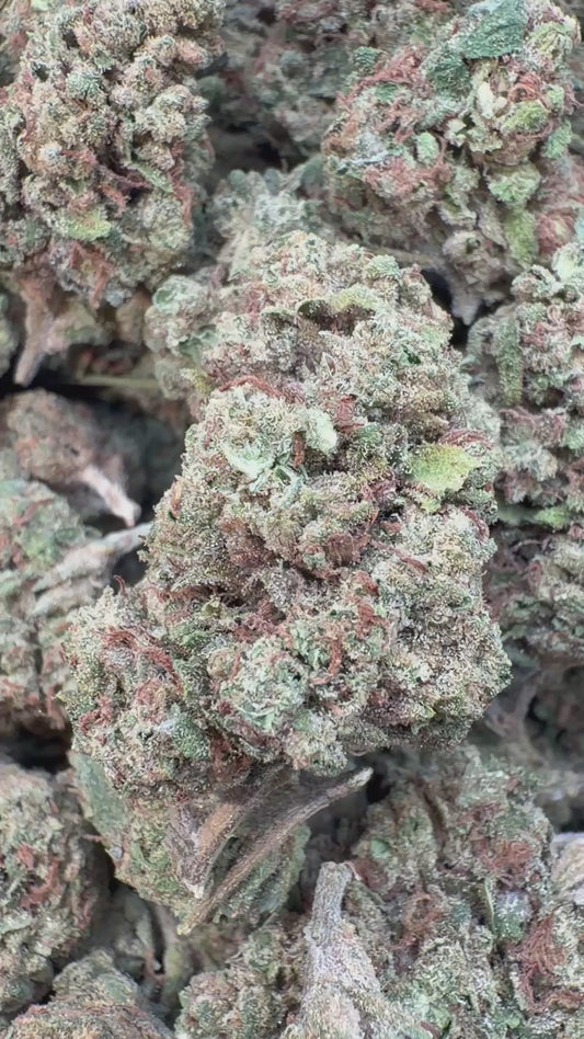Super Sour Diesel - Bulk - Sativa