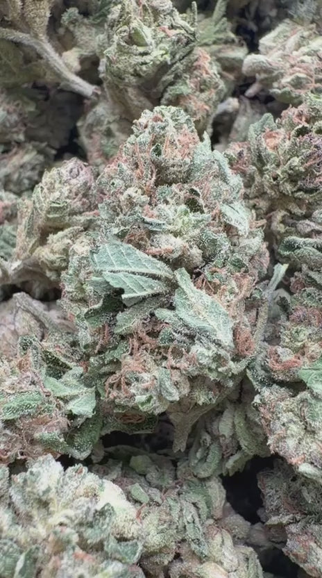 Wedding Cake - Bulk - Indica