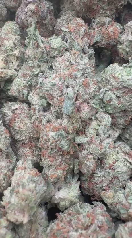 Jenny Kush - Bulk - Hybrid