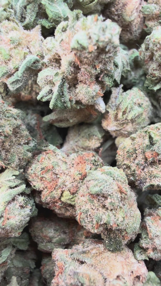 24K Gold Minis - Bulk Minis - Indica