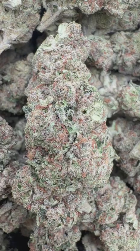 Blueberry Zkittlez - Bulk - Indica