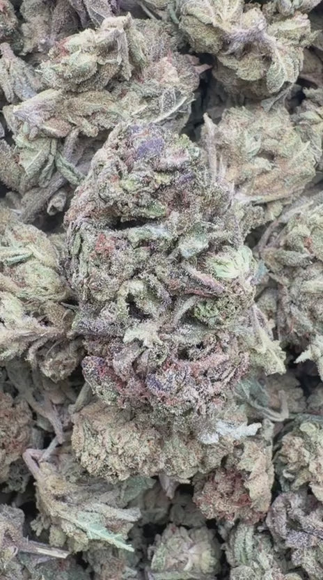 Watermelon Runtz - Bulk - Indica
