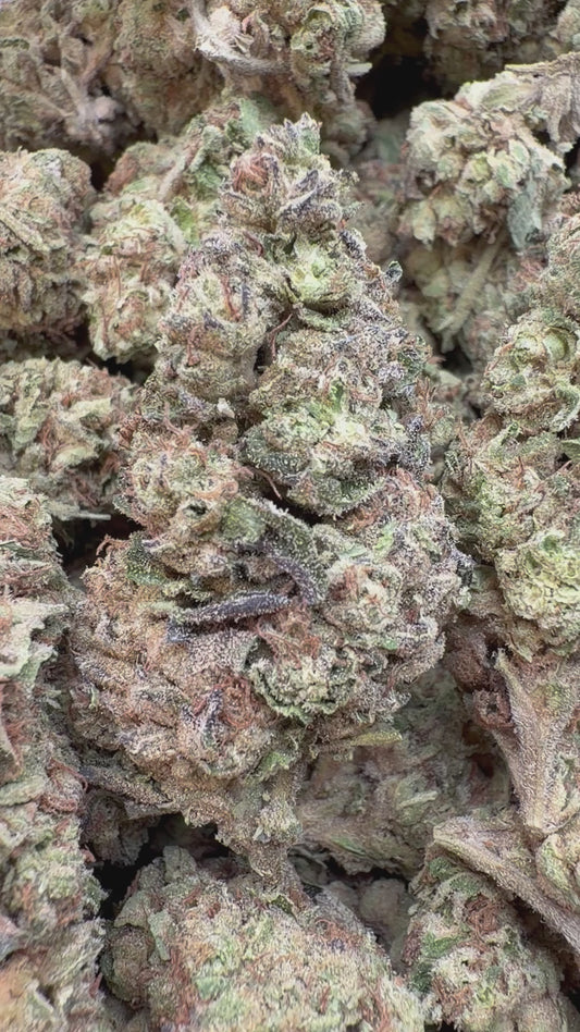 Gush Mintz - Bulk - Indica