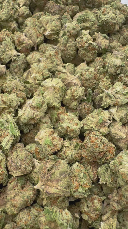 Snowman Mediums - Bulk Mediums - Hybrid