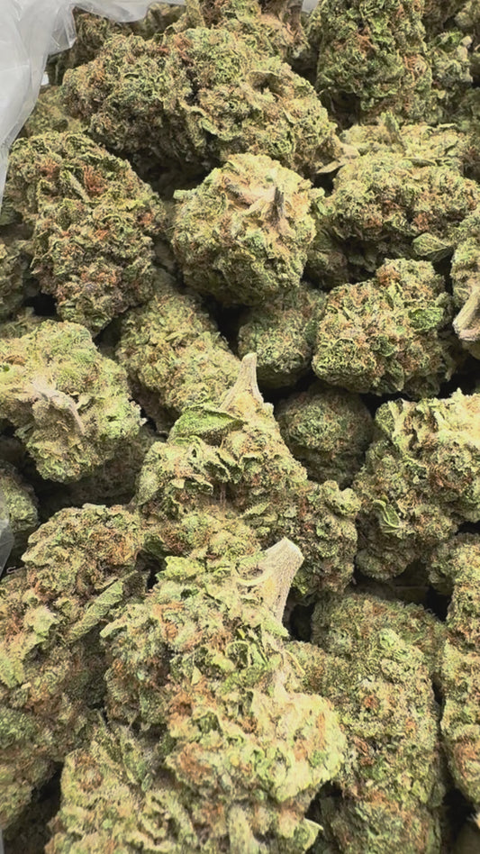 Nimbus Snacks - Bulk - Hybrid