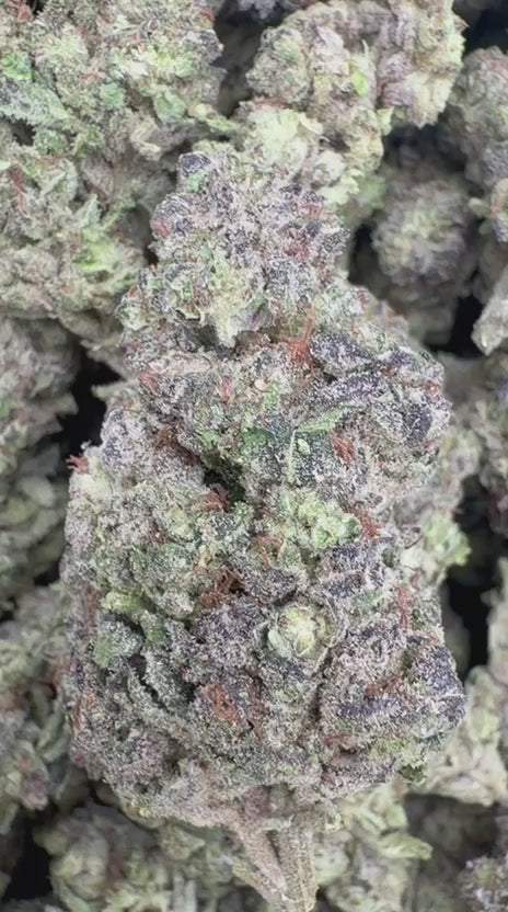Donny Burger - Bulk - Indica