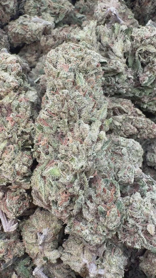 Double Dream - Bulk - Sativa