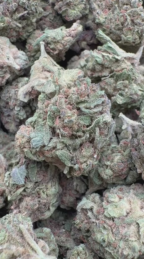 Durban Poison Mediums - Bulk Mediums - Sativa